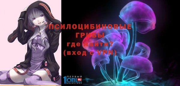 прущие грибы Белоозёрский