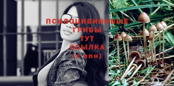 MDMA Premium VHQ Беломорск