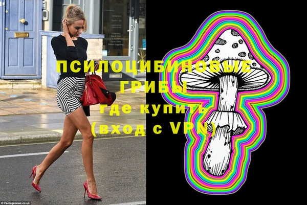 прущие грибы Белоозёрский