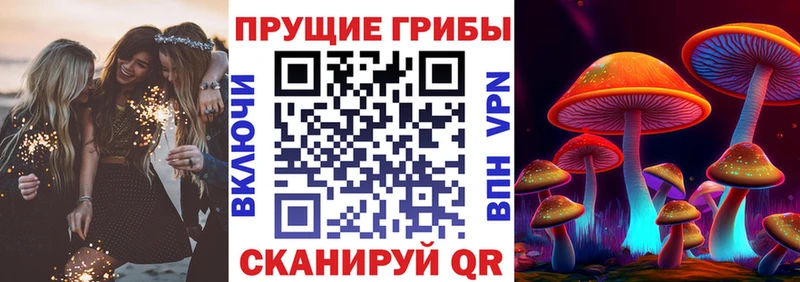 Псилоцибиновые грибы Magic Shrooms  Мглин 